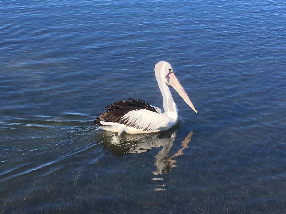 Riverside Rest Nambucca Heads Εξωτερικό φωτογραφία